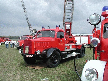 p9140006.jpg